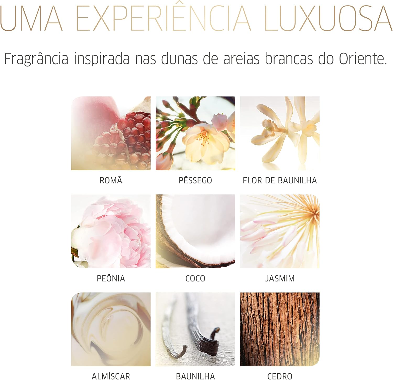 Destaca a linha específica, ajudando o leitor a diferenciar essa máscara de outras versões da Wella.