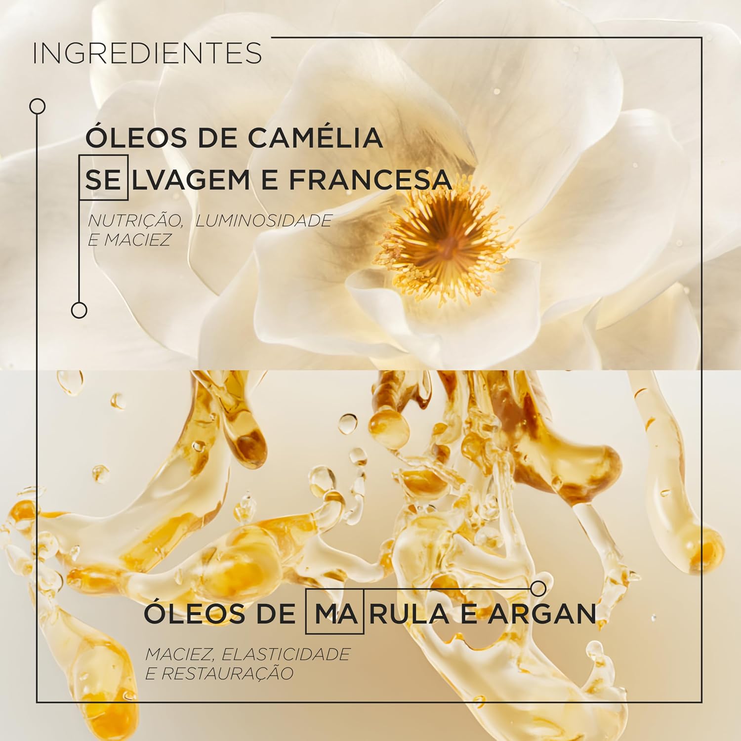 Detalhes de acabamento, rótulo e sofisticação da apresentação.